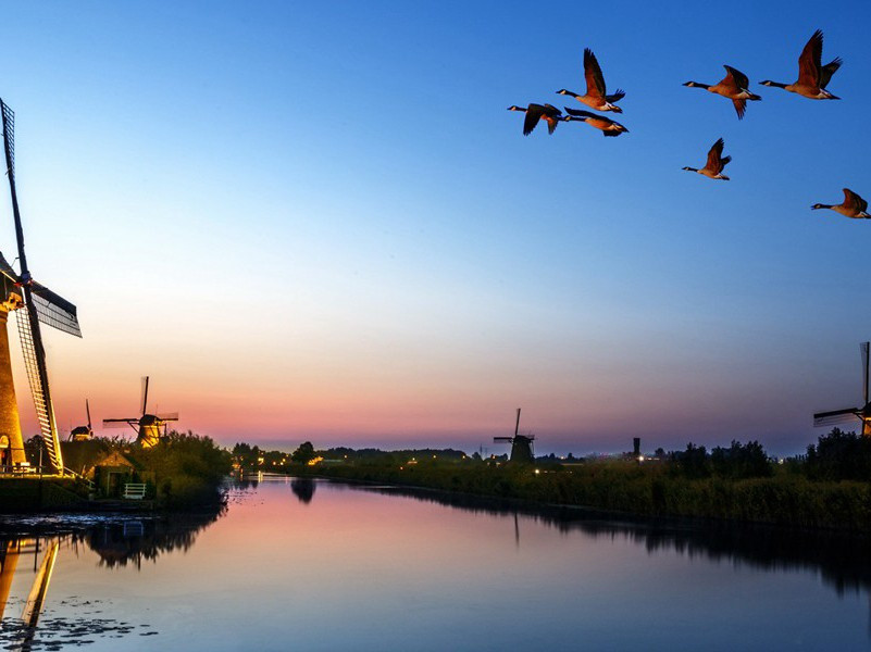 失踪之谜-丹尼斯.惠特利