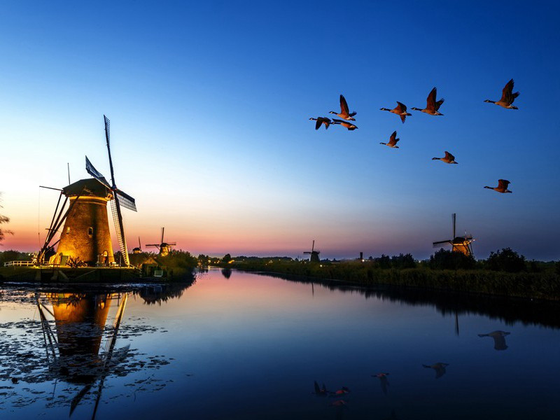 离奇的梦-丹尼斯.惠特利