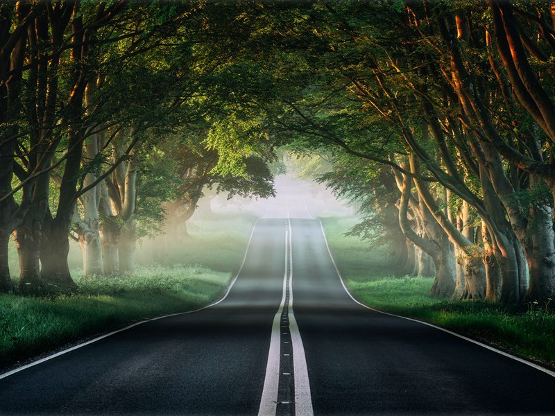 引狼入室-丹尼斯.惠特利