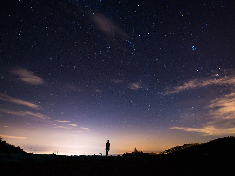 可疑的女人-丹尼斯.惠特利