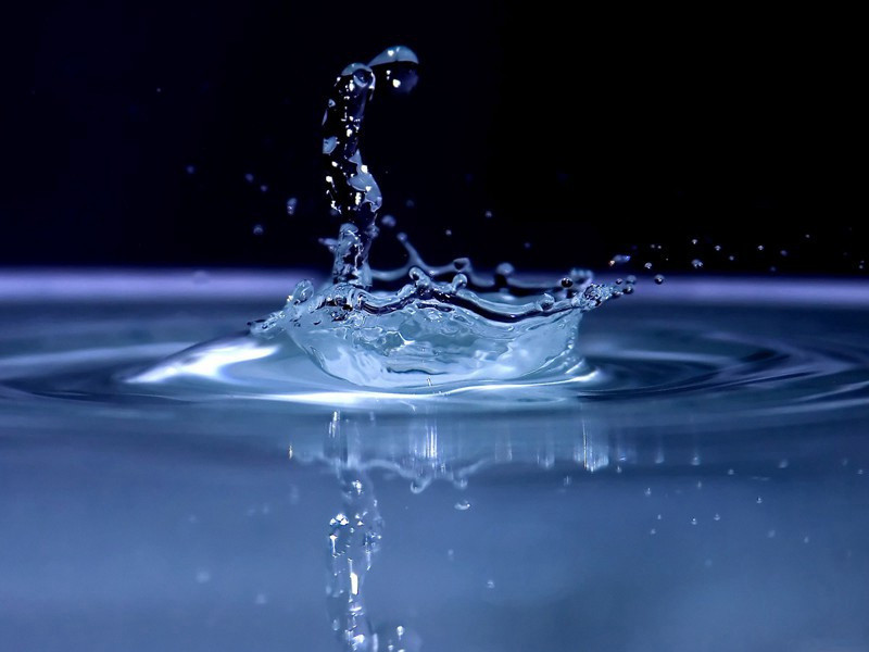 色艺俱佳的“东方舞女”-哈莉