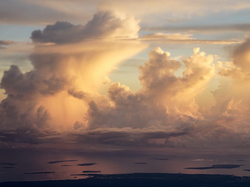 被蹂躏的花朵-川岛芳子