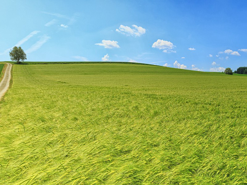 投身谍海-菲尔比