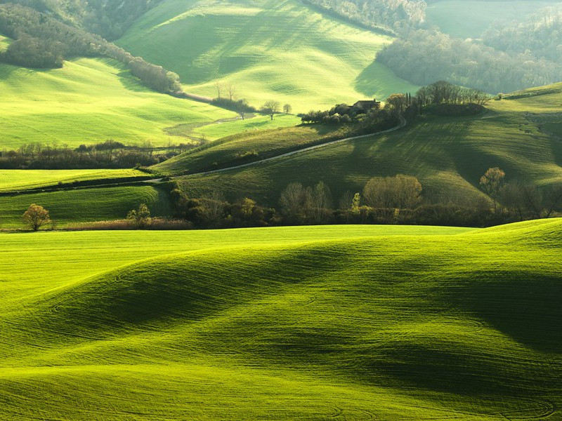 漂到中流-菲尔比