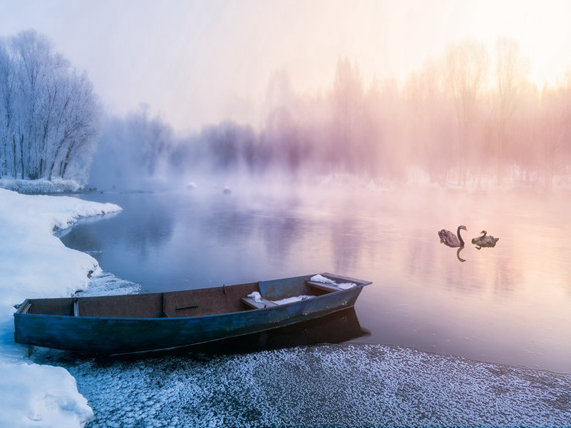险象环生-菲尔比
