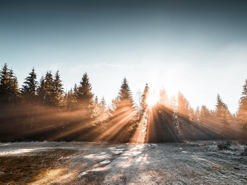 临危不惧-菲尔比