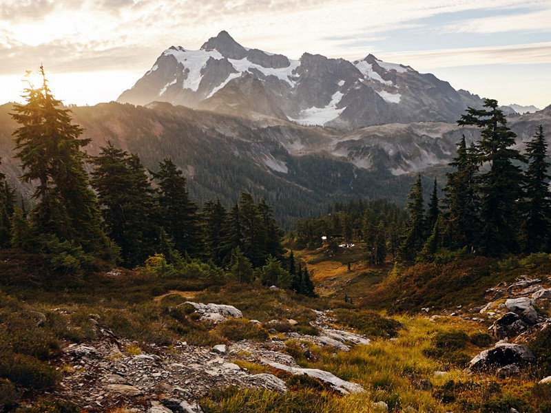 千秋功罪-菲尔比