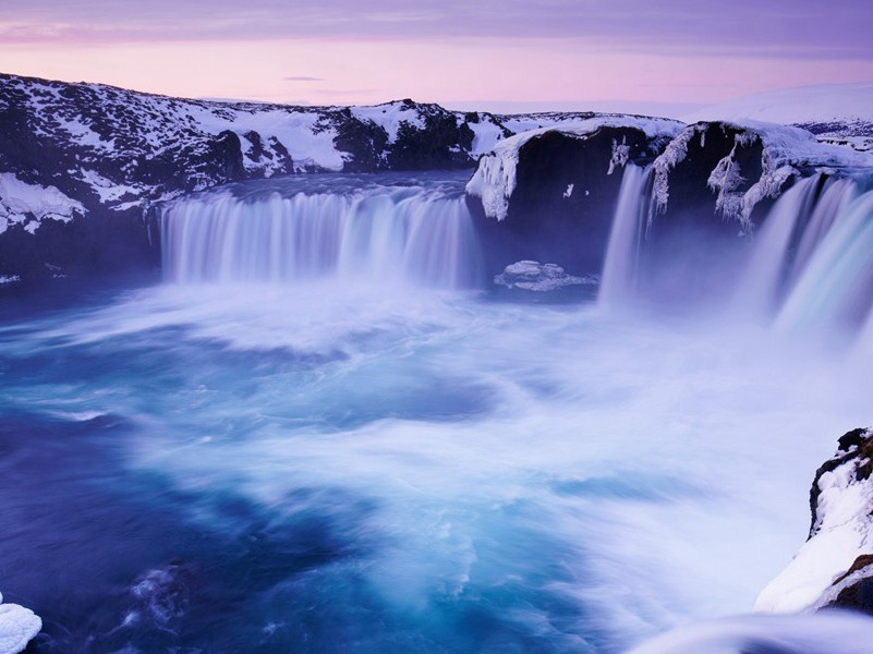 代号“露茜”-富特