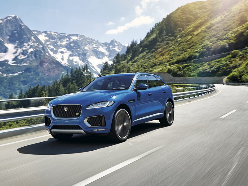 热衷拈花惹草-赖利