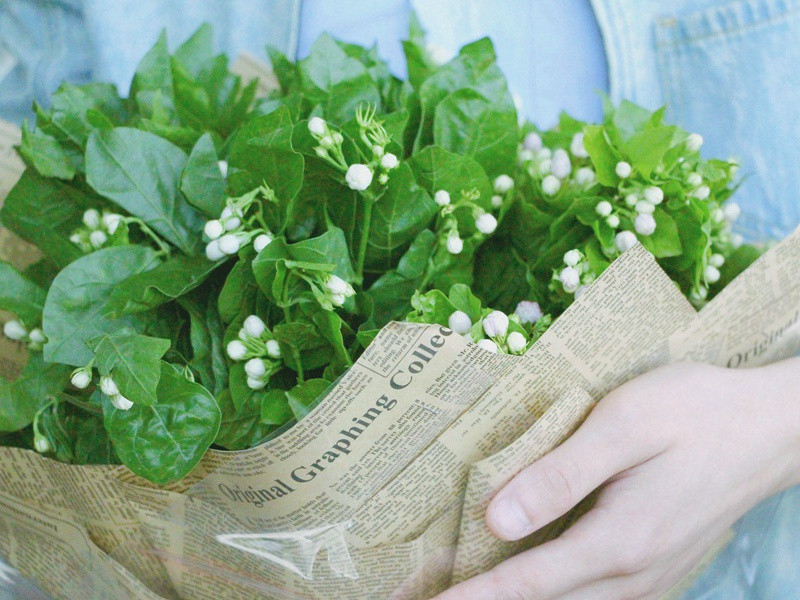 风浪中的舰炮能击中目标之谜-现代军事高科技悬案破译