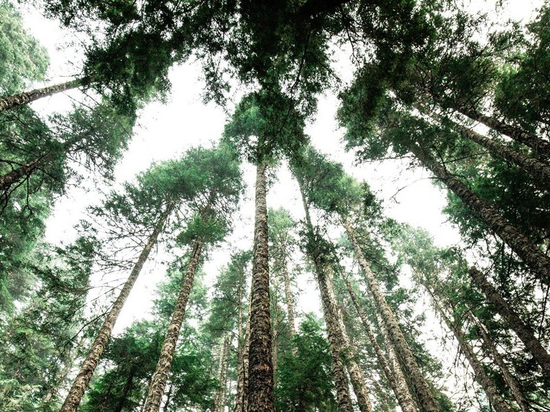 人造卫星的发射为何要顺着地球自转方向-现代军事高科技悬案破译