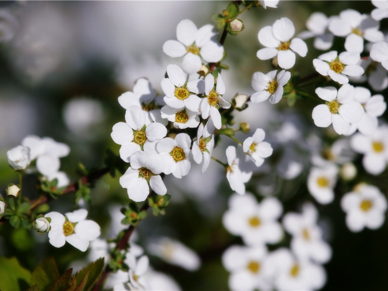 古老的天文台之谜-远古文化之谜