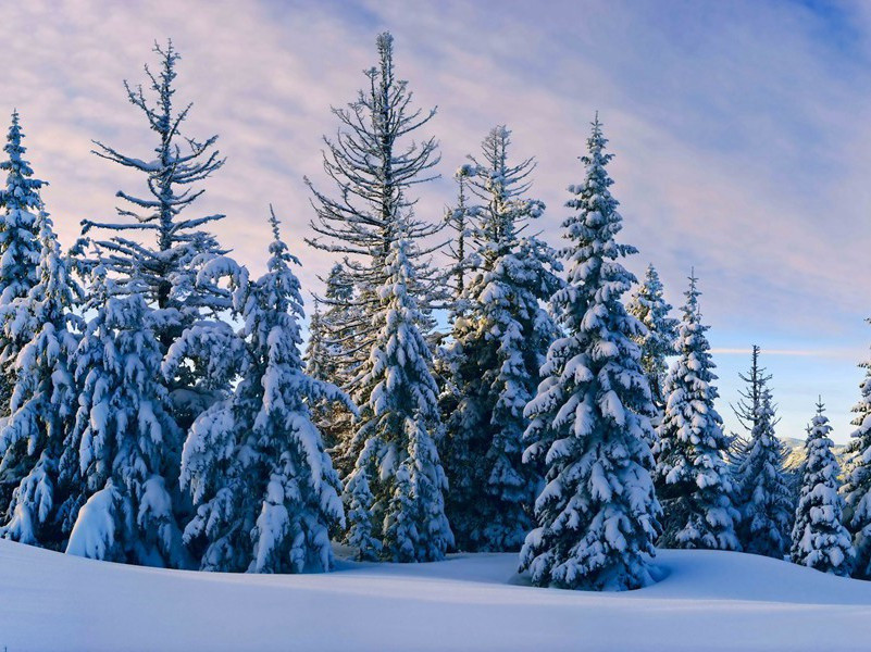 古罗马战士为什么会驻守在我国甘肃河西地区-古代世界战争悬案译