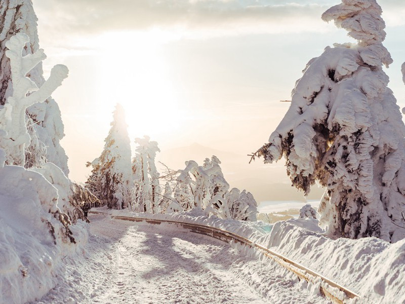 珍珠港事件的真相究竟如何-第二次世界战争悬案破译