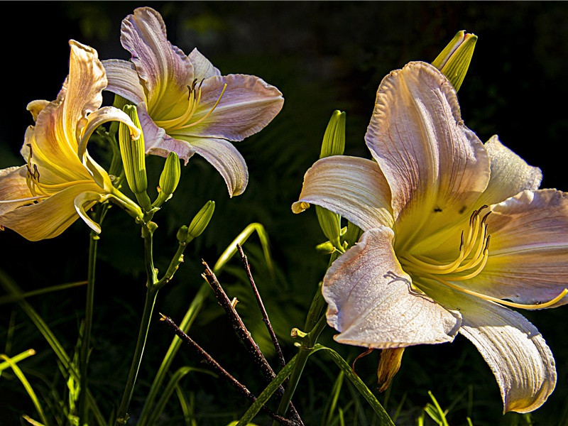 最古老的宇航图和金字塔-远古文化之谜