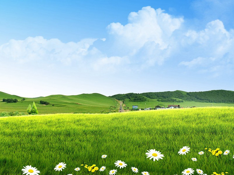 被战争毁灭的黄金帝国-战争宝藏之谜