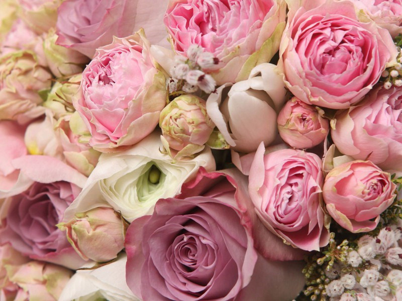 英法联军抢掠圆明园宝藏-战争宝藏之谜