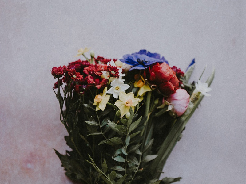 赤壁古战场之谜-近代世界战争悬案破译