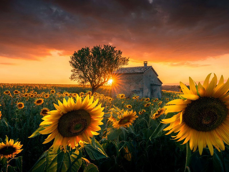 全副武装的军队为什么会失踪-现代世界战争悬案破译