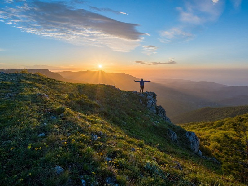 古代驱兽作战始于何时？-现代世界战争悬案破译