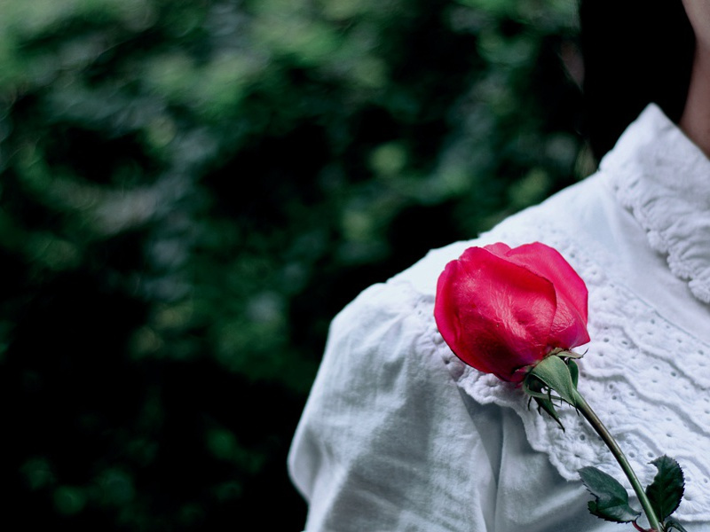 军队斩首何时开始-现代世界战争悬案破译