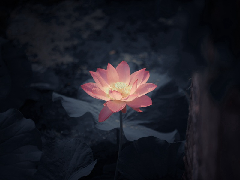 美国总统写给外星人的问候-外星人带来的UFO之谜