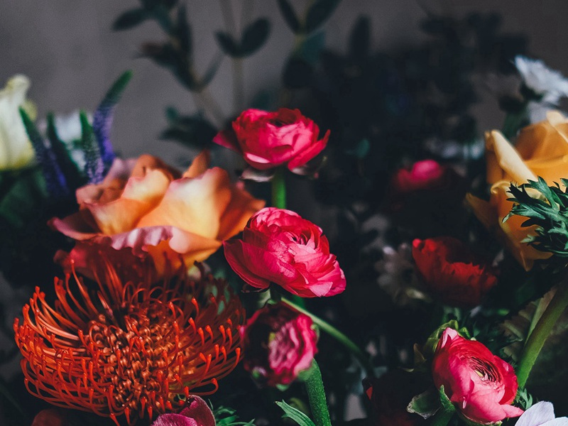 飞碟是从哪里来的-UFO的来历之谜