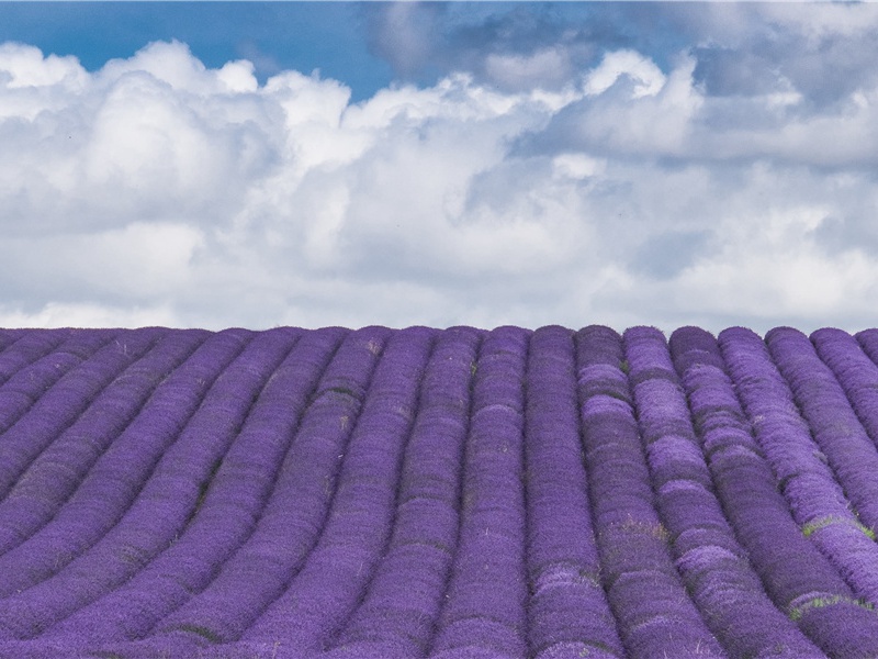 苏美尔人的传说-神秘的痕迹