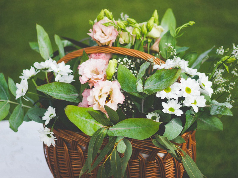 飞碟的“中转站”在哪里-UFO的来历之谜