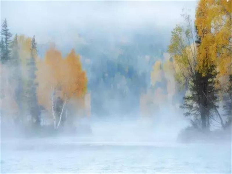 哥伦布到底是哪国人-历史名人事迹追踪