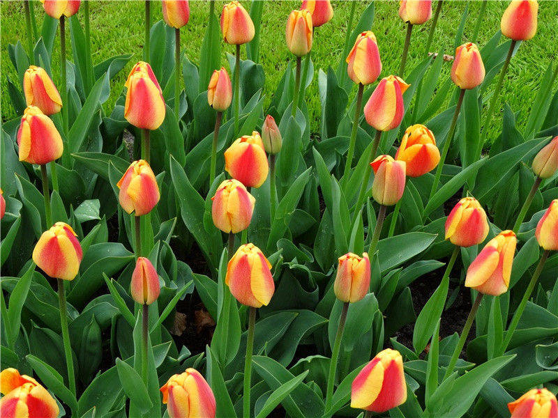 神话中的“神”是不是外星人-神秘的痕迹