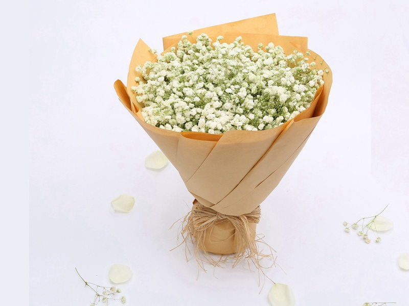 来到地球的飞碟-飞碟之谜