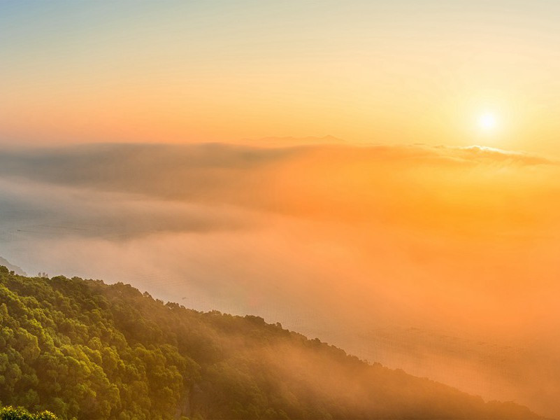 飞碟坠毁的秘密-飞碟之谜