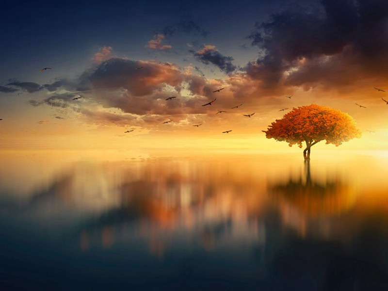 空中惊魂之谜-UFO与人类过招的奇闻怪事