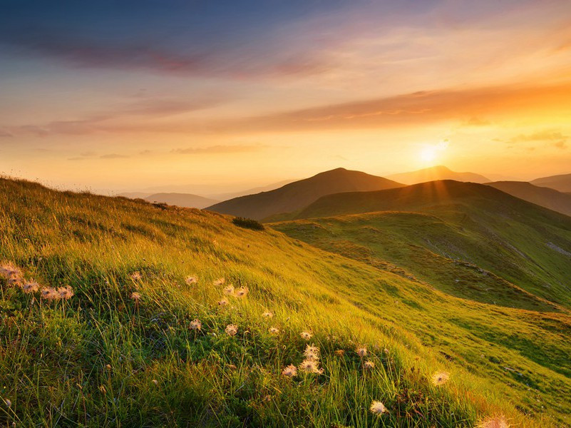 被拔光毛发的男人-UFO与人类过招的奇闻怪事