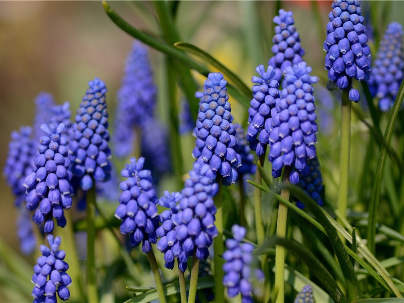 巨石圆阵的谜题-神秘的痕迹