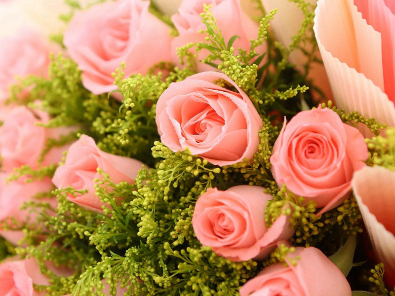 是UFO灭绝了恐龙吗-UFO对地球的改造