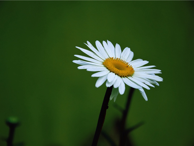 陨石会带来什么信息-神秘的痕迹