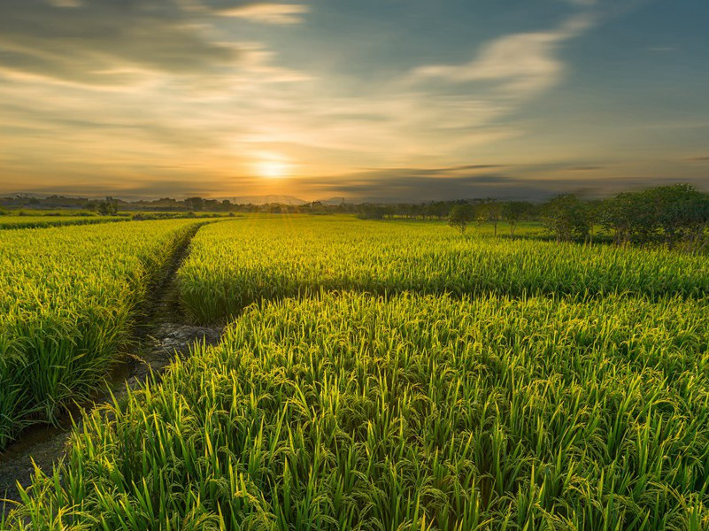 “死亡谷”是UFO之谷吗-UFO对地球的改造