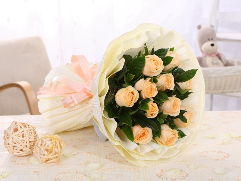 丛林石球是外星人的玩具吗-UFO对地球的改造