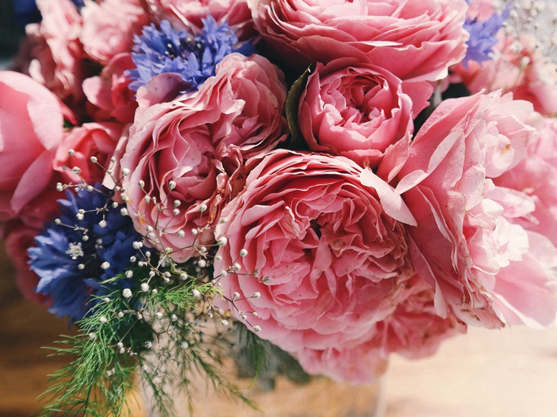 太阳门是外星人之门吗-UFO对地球的改造