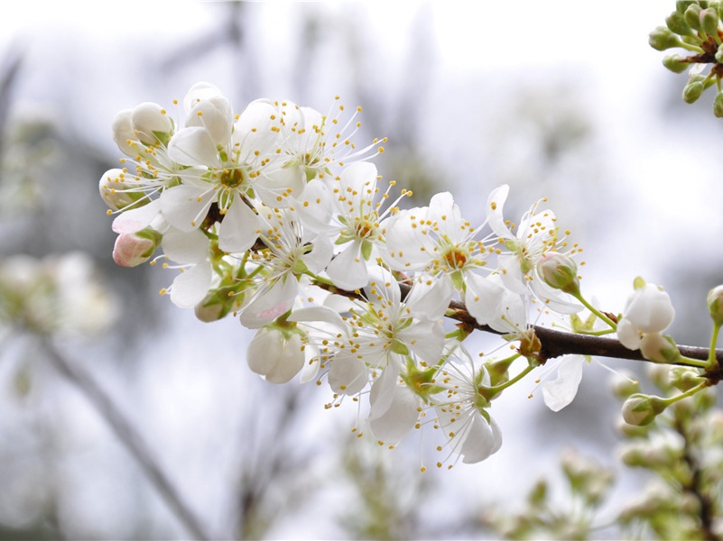叹为观止的遗物-神秘的痕迹