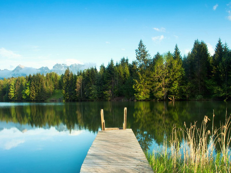 如何应对外星人的绑架-人类应对UFO之计划