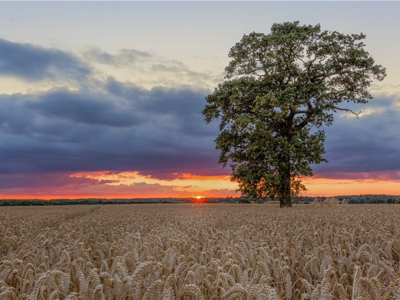 无法解释的难题-神秘的痕迹