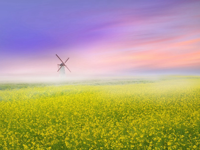 模糊的证词-探索外星人之谜