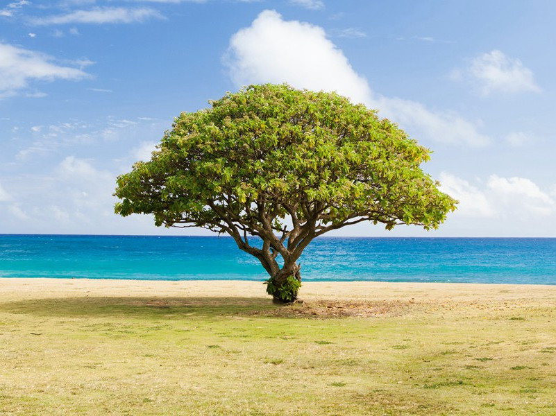 疾病因何而起-人体生理解秘