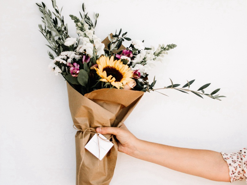 肥胖之谜-人体生理解秘