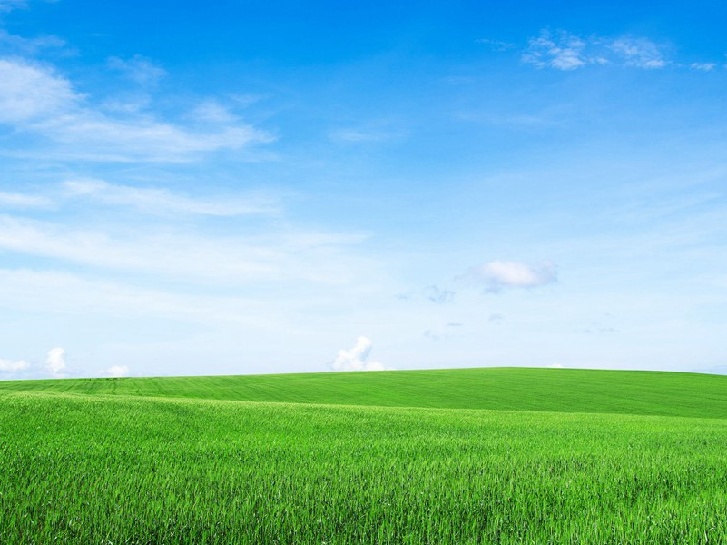 口吃之谜-人体生理解秘