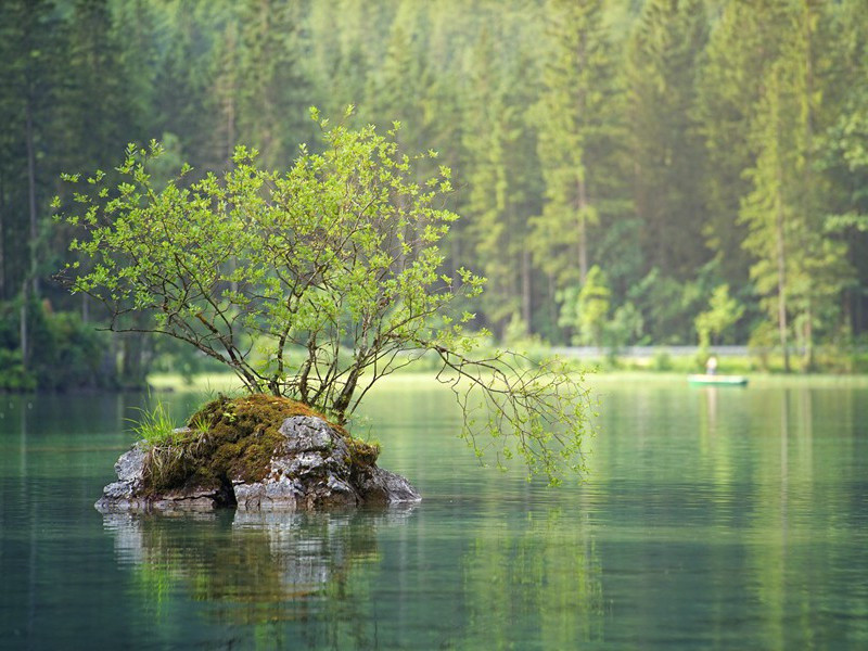 人能看多远-趣味人体