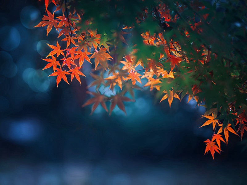 疾病之间也会相克吗-趣味人体